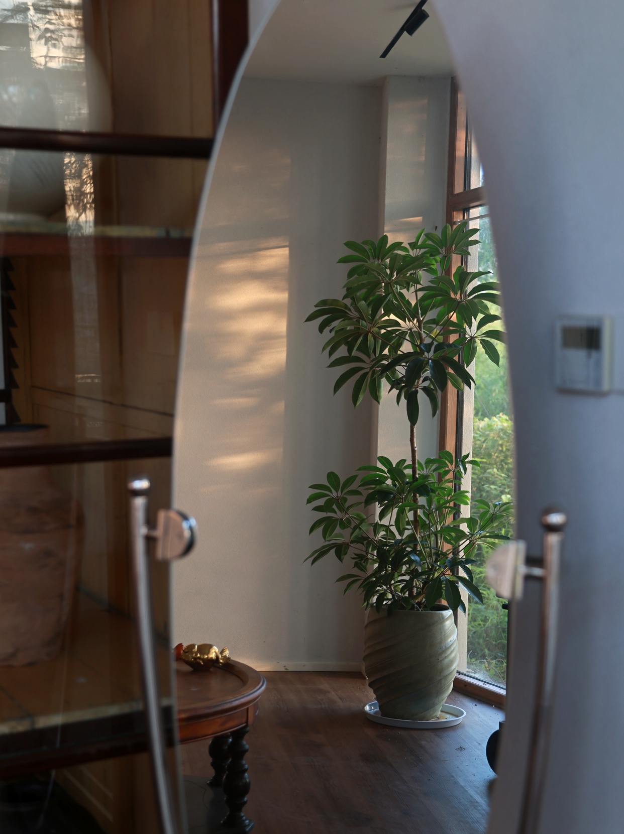 TreeHouse 室内外相连的门洞与植物